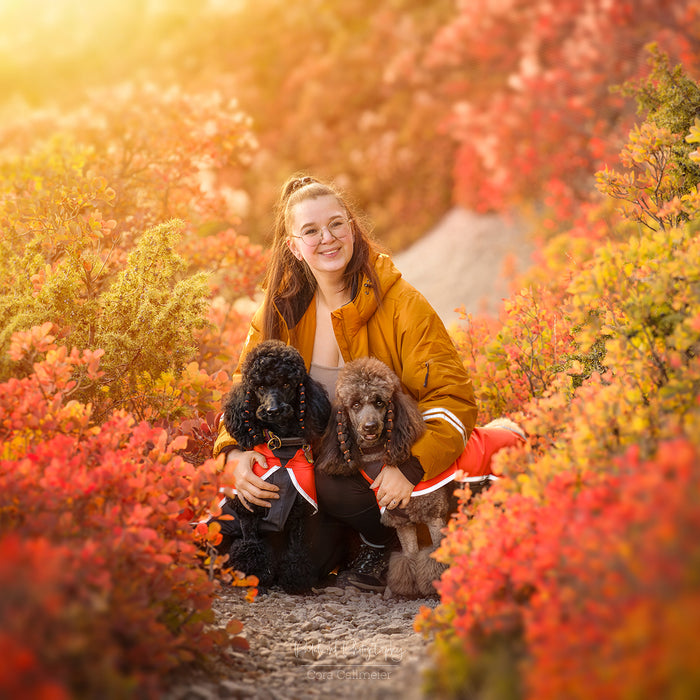 KeepDry Dog Walker Mantel | Mustard | Dorthea