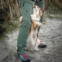 Hundelufter skalbukser | Beetle | Kort længde | Rumle