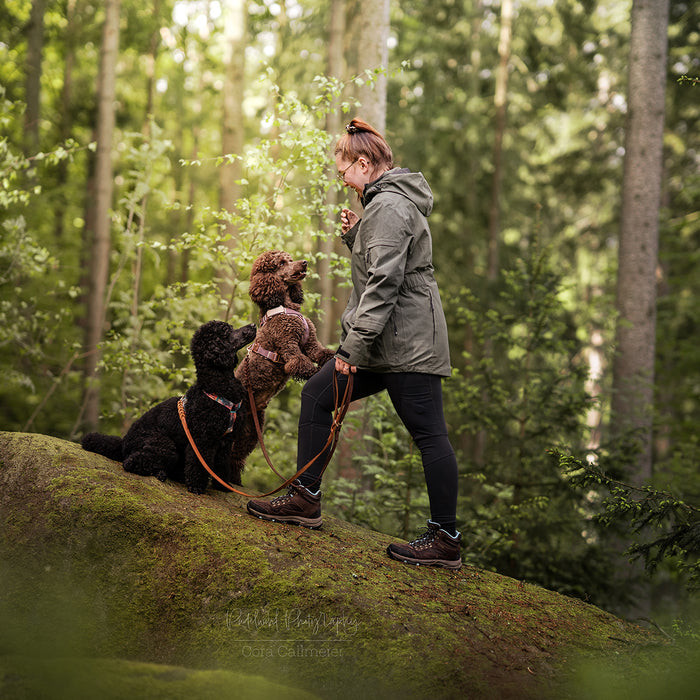 Pack&Carry Shell Jacke | Beetle | Lego
