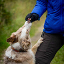 DogCoach Allround Godbidshandsker | Unisex | Sort | Miley