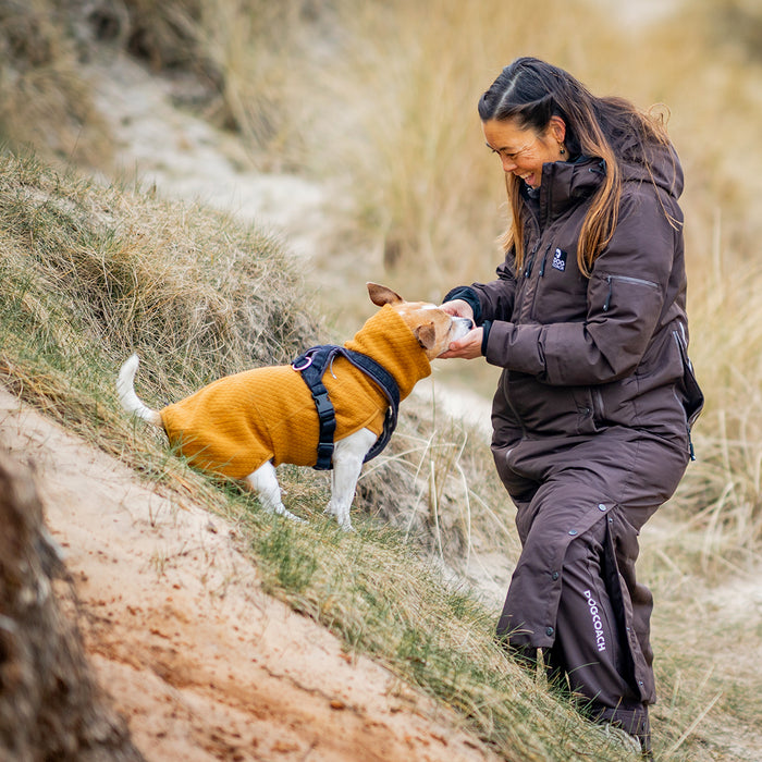 KeepDry Dog Walker Mantel | Bison | Molly