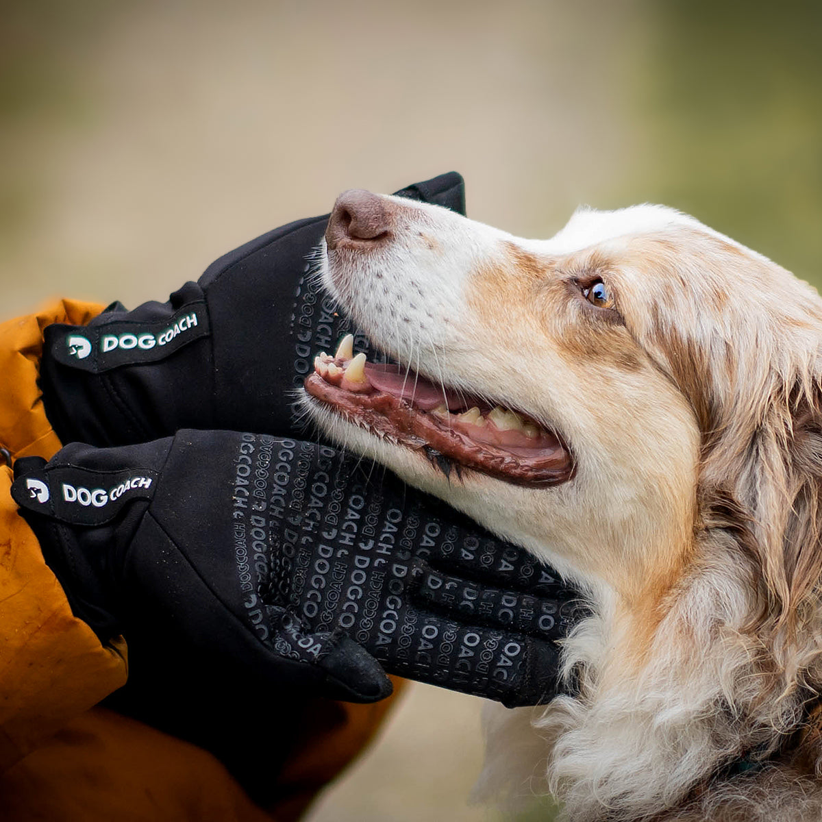 lugiklip handschuhe DogCoach Allround Leckerli-Handschuhe | Unisex | Schwarz