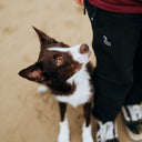 Allround bukser | Ekstra længde | Sort | Viggo