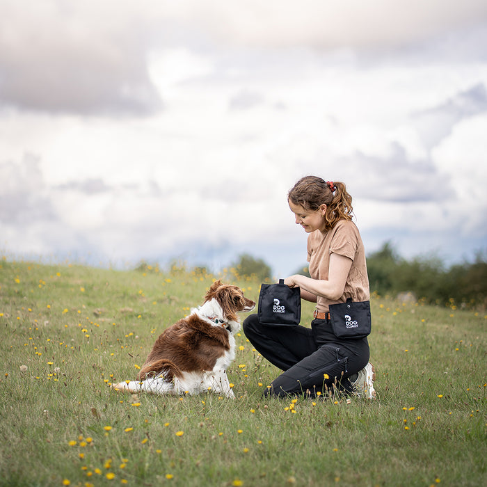 DogCoach Leckerlibeutel | Elite | Regular | Schwarz | Guinness