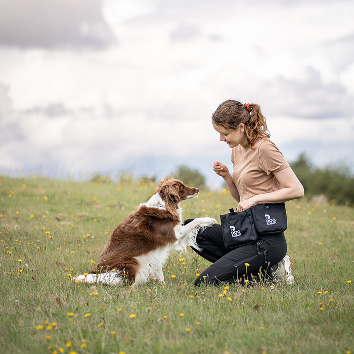 DogCoach Leckerlibeutel | Elite | Regular | Schwarz | Guinness