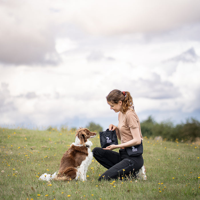 DogCoach Leckerlibeutel | Elite | Regular | Schwarz | Guinness