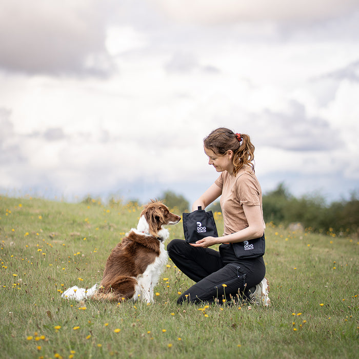 DogCoach Leckerlibeutel | Elite | Regular | Schwarz | Guinness