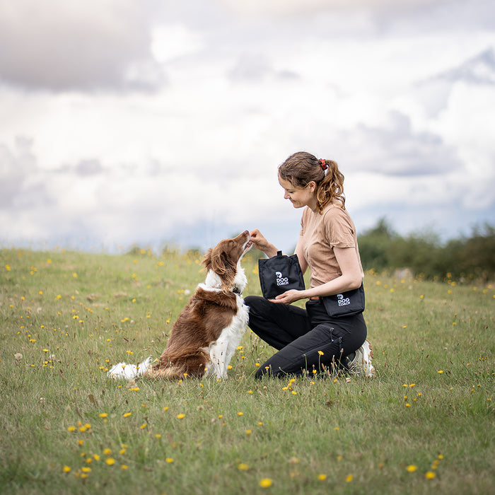 DogCoach Leckerlibeutel | Elite | Regular | Schwarz | Guinness