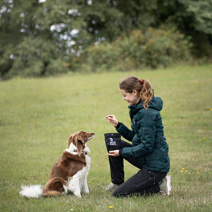 DogCoach Leckerlibeutel | Hobby | Regular | Schwarz | Bali