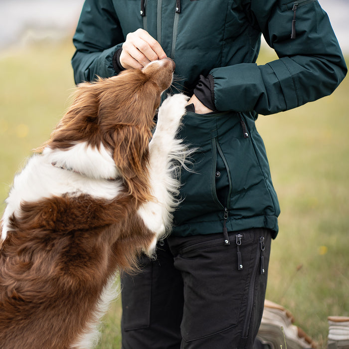 DogCoach Leckerlibeutel | Elite | Regular | Schwarz | Guinness