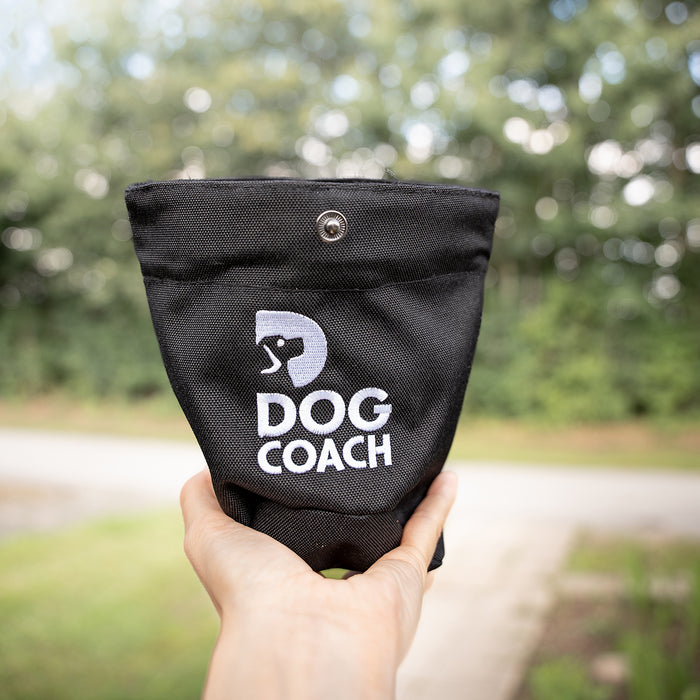 DogCoach Leckerlibeutel | Hobby | Regular | Bison | Xabi