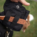 DogCoach Leckerlibeutel | Elite | Regular | Bison | Natz