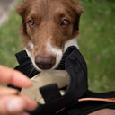 DogCoach Leckerlibeutel | Elite | XL | Schwarz | Perro