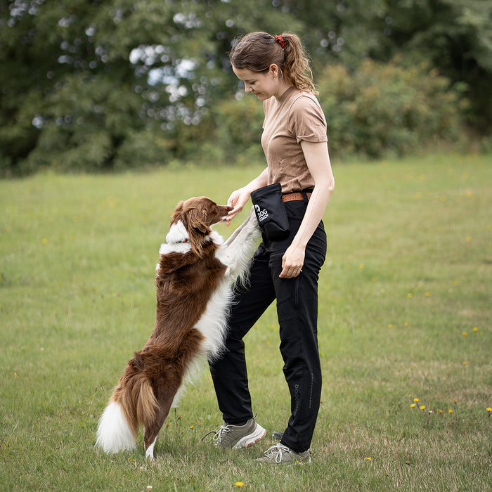 DogCoach Leckerlibeutel | Hobby | XL | Bison | Archie