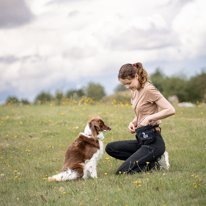 DogCoach Leckerlibeutel | Hobby | XL | Bison | Archie