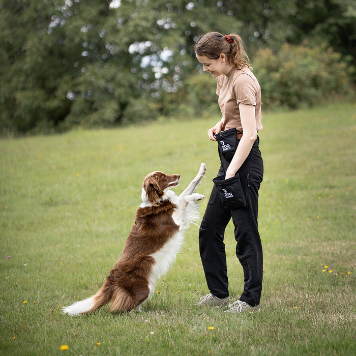 DogCoach Leckerlibeutel | Hobby | XL | Bison | Archie