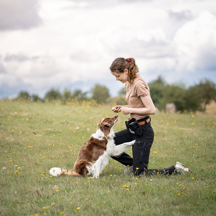 DogCoach Leckerlibeutel | Elite | Regular | Schwarz | Guinness