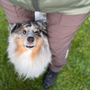 Hundelufterbukser 2.0 | Vinter | Bison | Short | Reynard