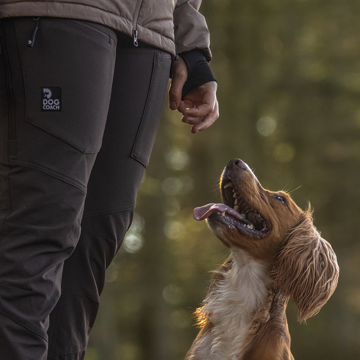 Dog Walker Allround Hose | Regular | Bison | Peanut