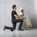 Hundelufterbukser I Vinter | Normal længde | Asterix