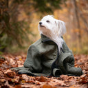 Teddy | Unisex I Beetle | Saola