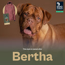 Pack&Carry Shell Jacket 2.0 | Rosewood | Bertha