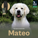 Pack&Dry Quick Zip Pants I Black I Mateo