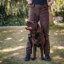 Hundelufterbukser 2.0 | Vinter | Bison | Short | Reynard