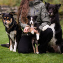 KeepDry Overgangsjakke | Beetle | Senna (få tilbage)