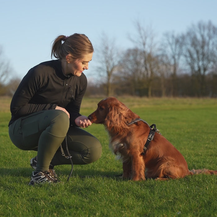 FeelFree Dog Walker Tights | Schwarz | Ruby