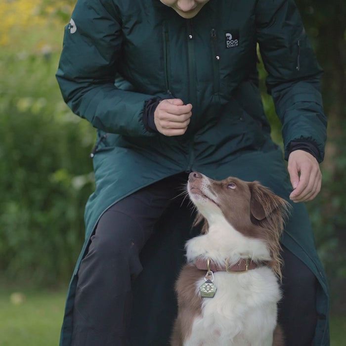 KeepDry Dog Walker Mantel | Mustard | Dorthea