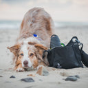 Dog Walker Gassitasche 6.0 | Tuuli