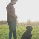 FeelFree Dog Walker Zip Jacket | Sky | Alva