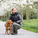 Vatteret Hundeluftervest | Sort | Obelix