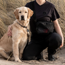 Bæltetaske | Burgundy | Marley