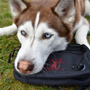 Bæltetaske | Burgundy | Marley